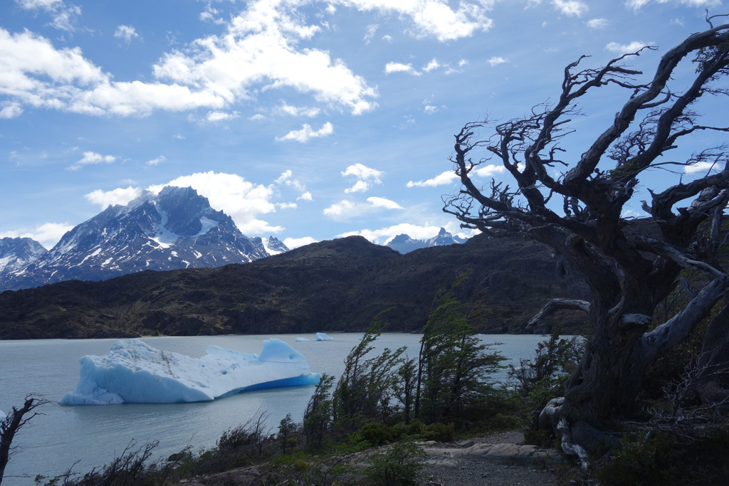 Lago Grey - Torres del Paine