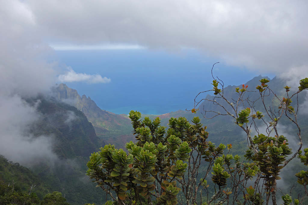 Aussicht vom Kalalau Lookout