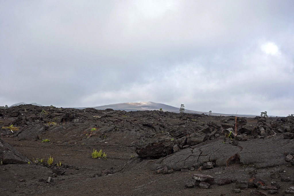 Lavafeld - Chain of Craters Road