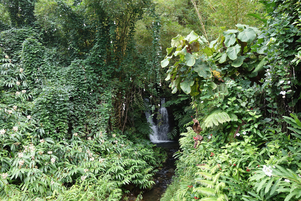 Kahuna Falls 