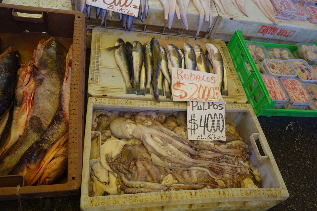Fischmarkt - Valdivia
