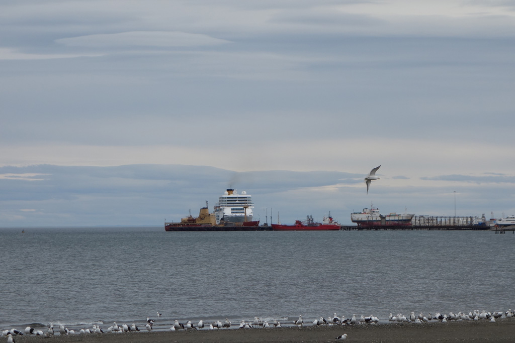 Hafen - Punta Arenas
