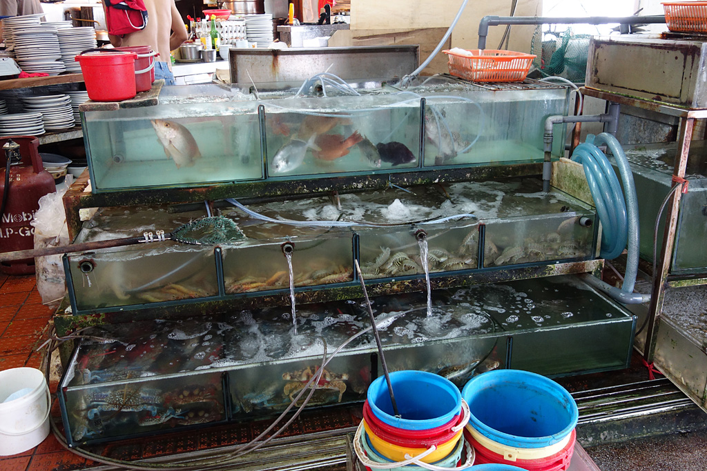 Fischrestaurant - Mui Wo