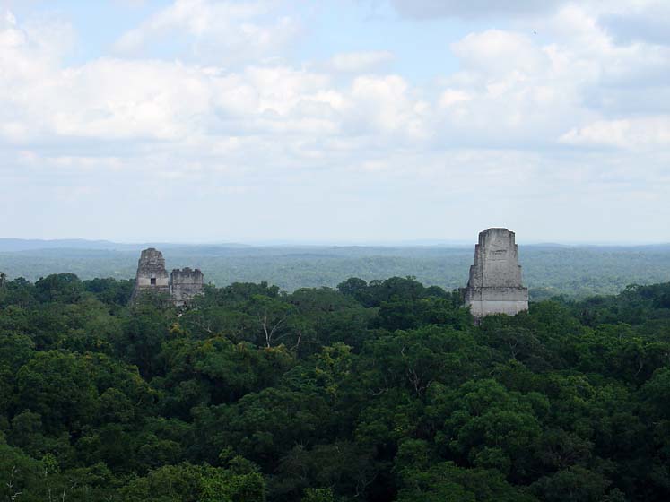 Bilck vom Tempel IV - Tikal