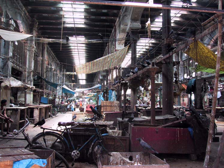 Geflügelmarkt - Kalkutta/ Kolkata